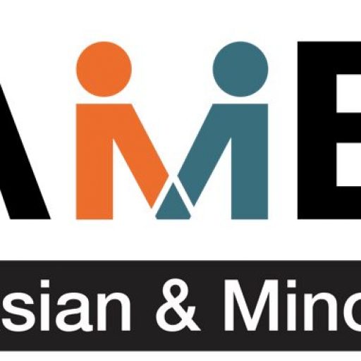 Too Asian, Not Asian Enough – BAMEed Network Avatar